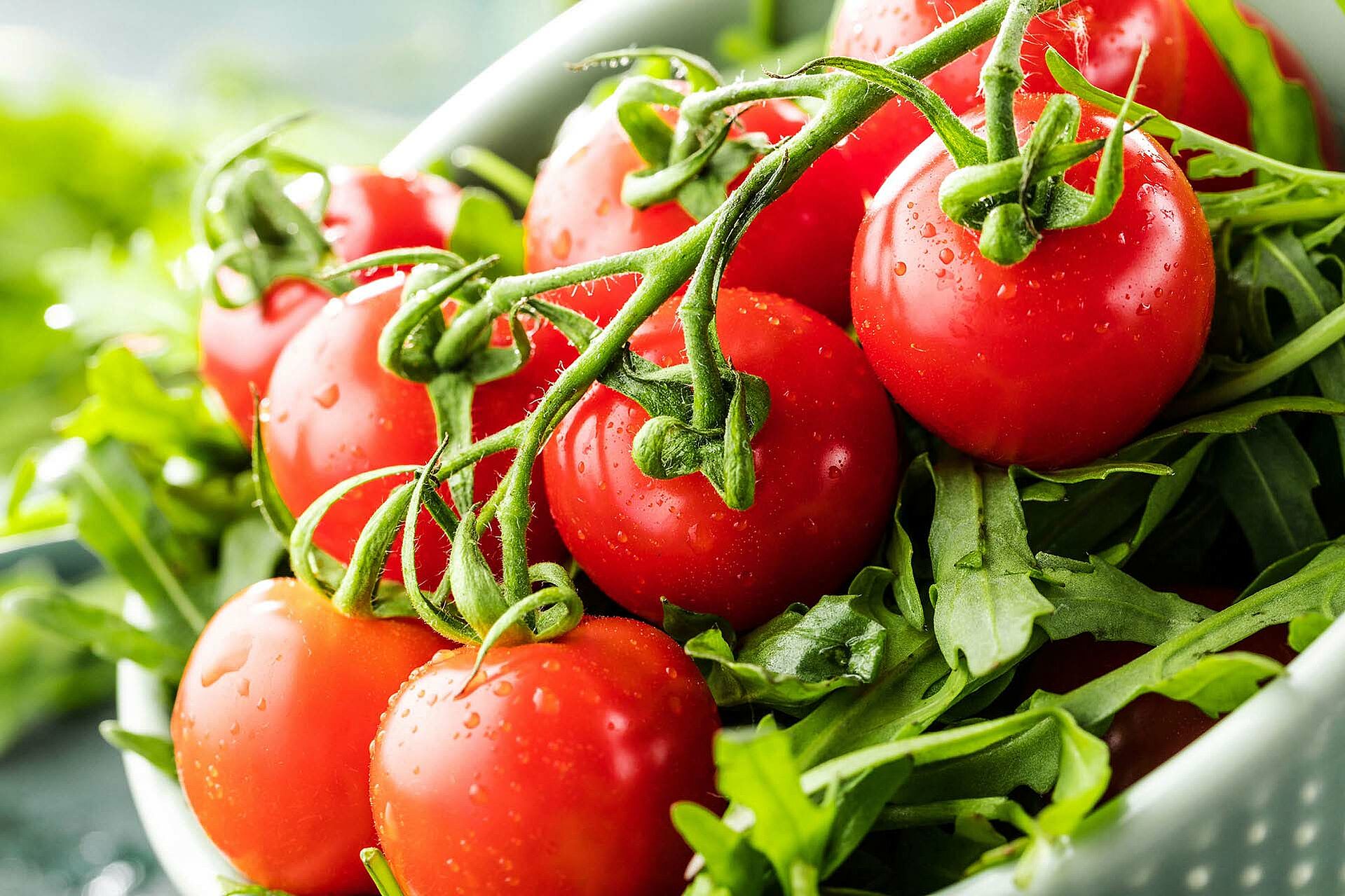 Frische Kirschtomaten in einem Sieb