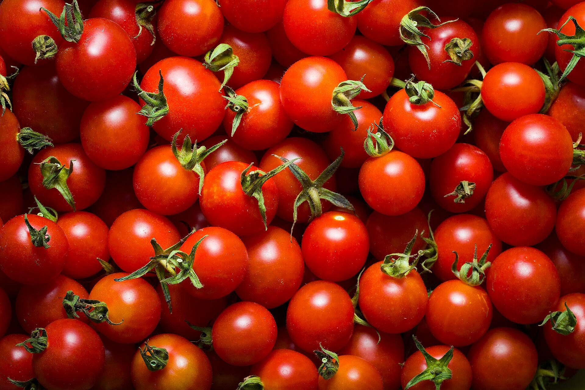 Tomaten