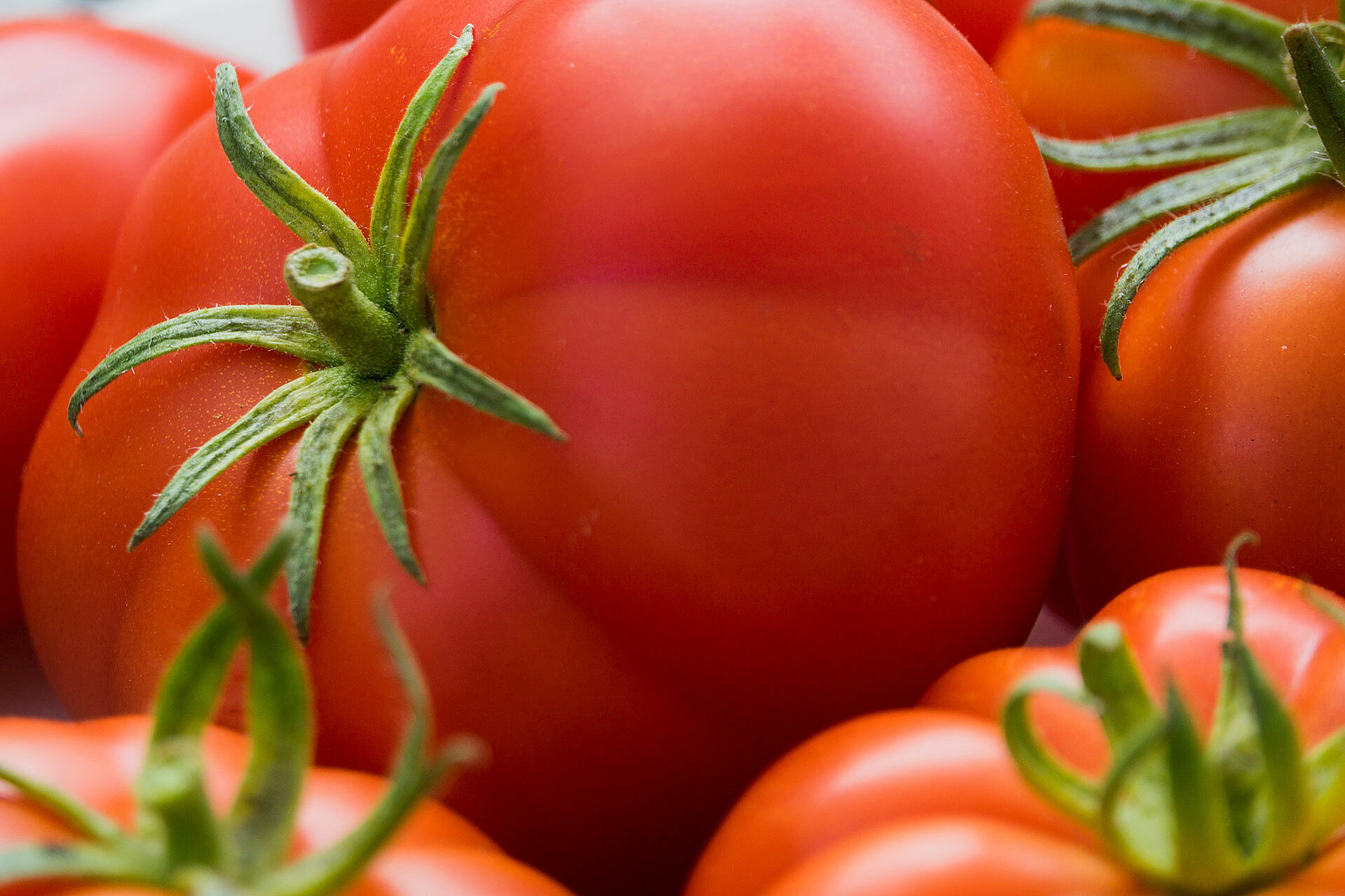 Ochsenherztomaten in einer nahen Ansicht