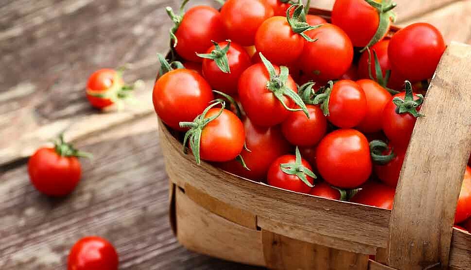 Korb mit Kirschtomaten