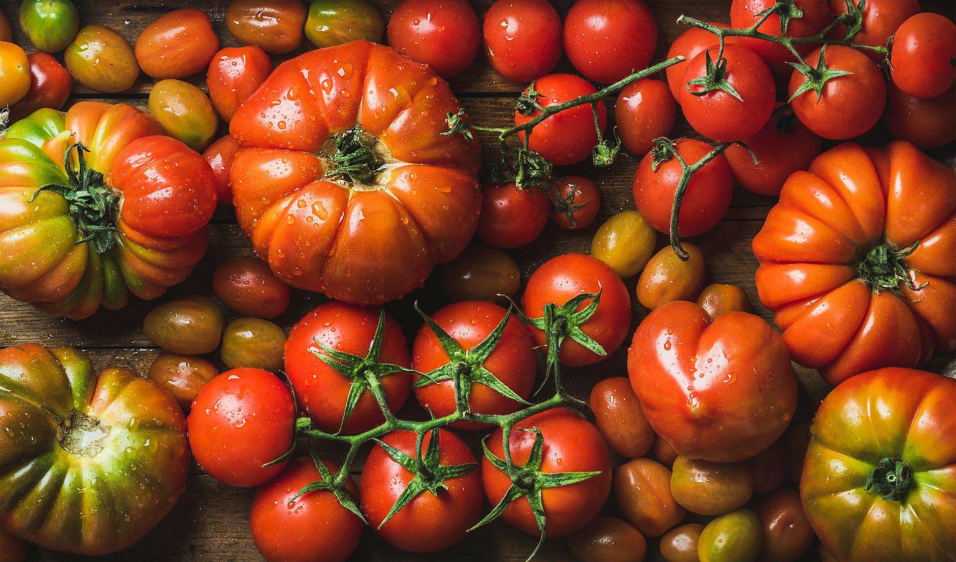 Verschiedene Tomaten