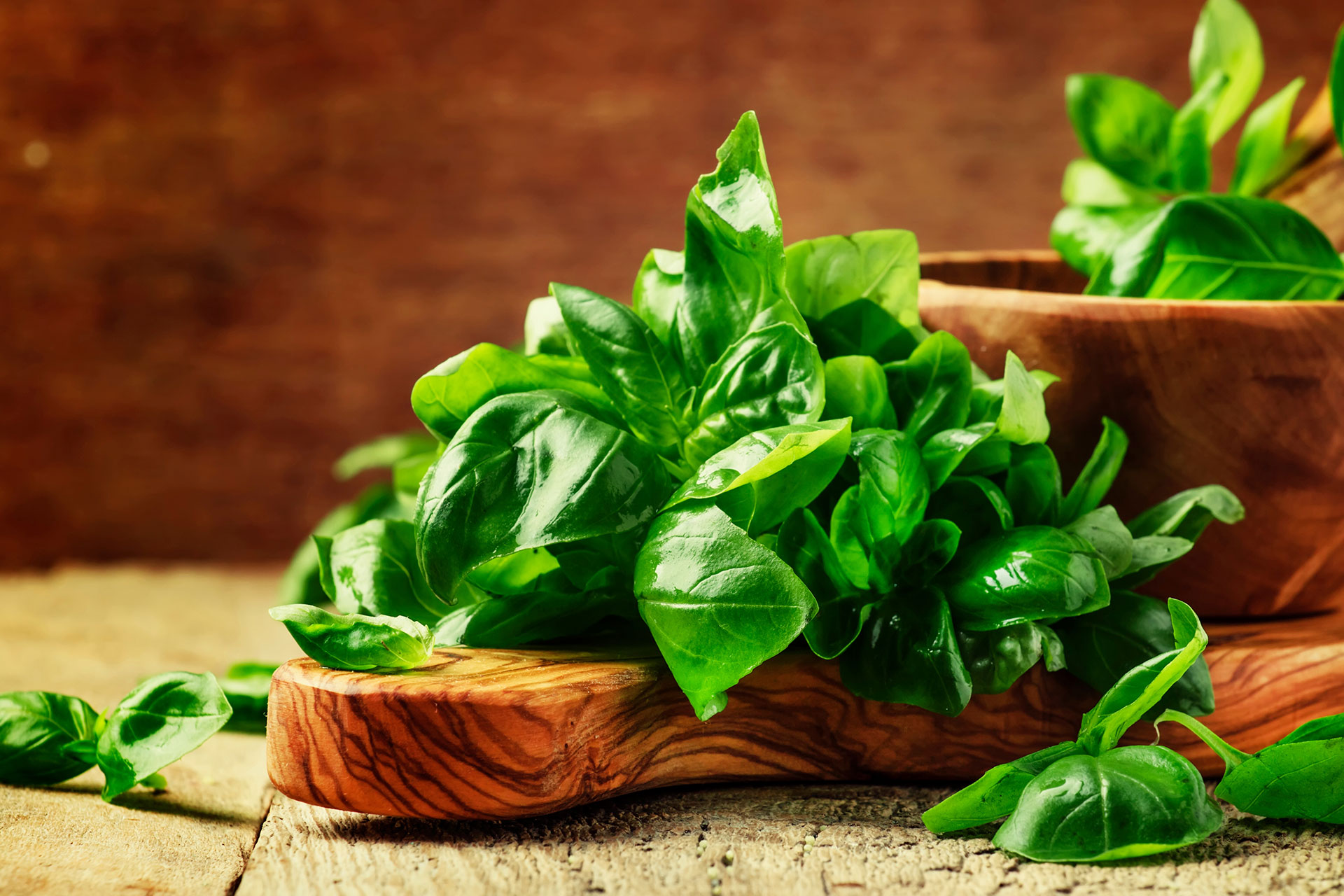 Basil leaves on a wooden board