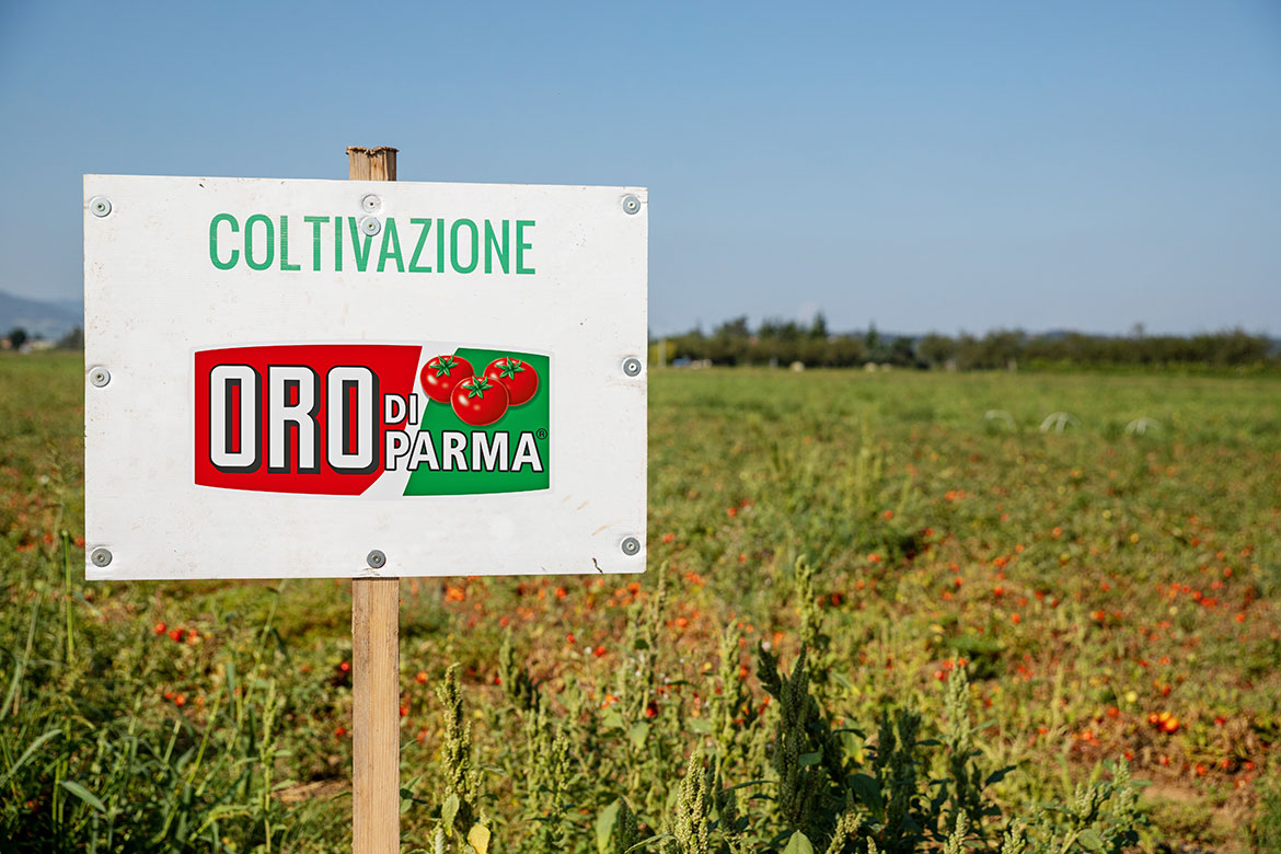 ORO di Parma Logo auf einem Schild im Feld